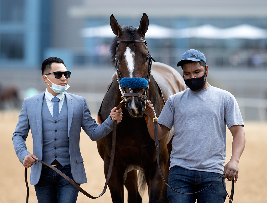 Green Light Go at Oaklawn Park in March 2021