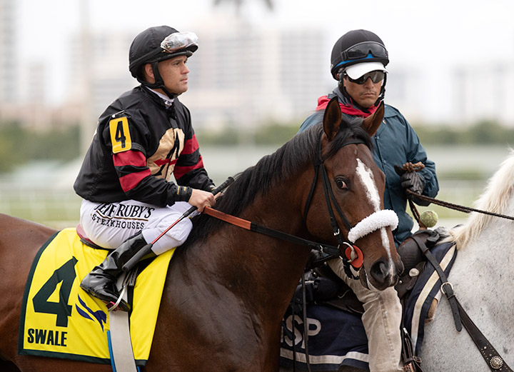 Green Light Go at the Swale Stakes at Aqueduct Racetrack