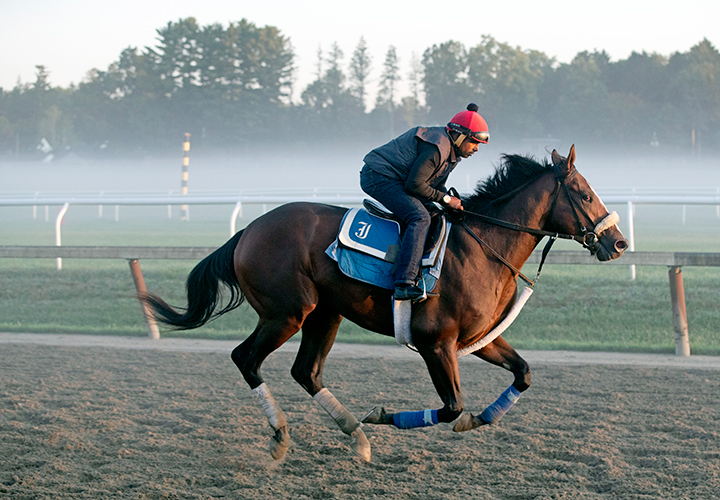 Green Light Go trains at Saratoga Race Course on Aug. 26