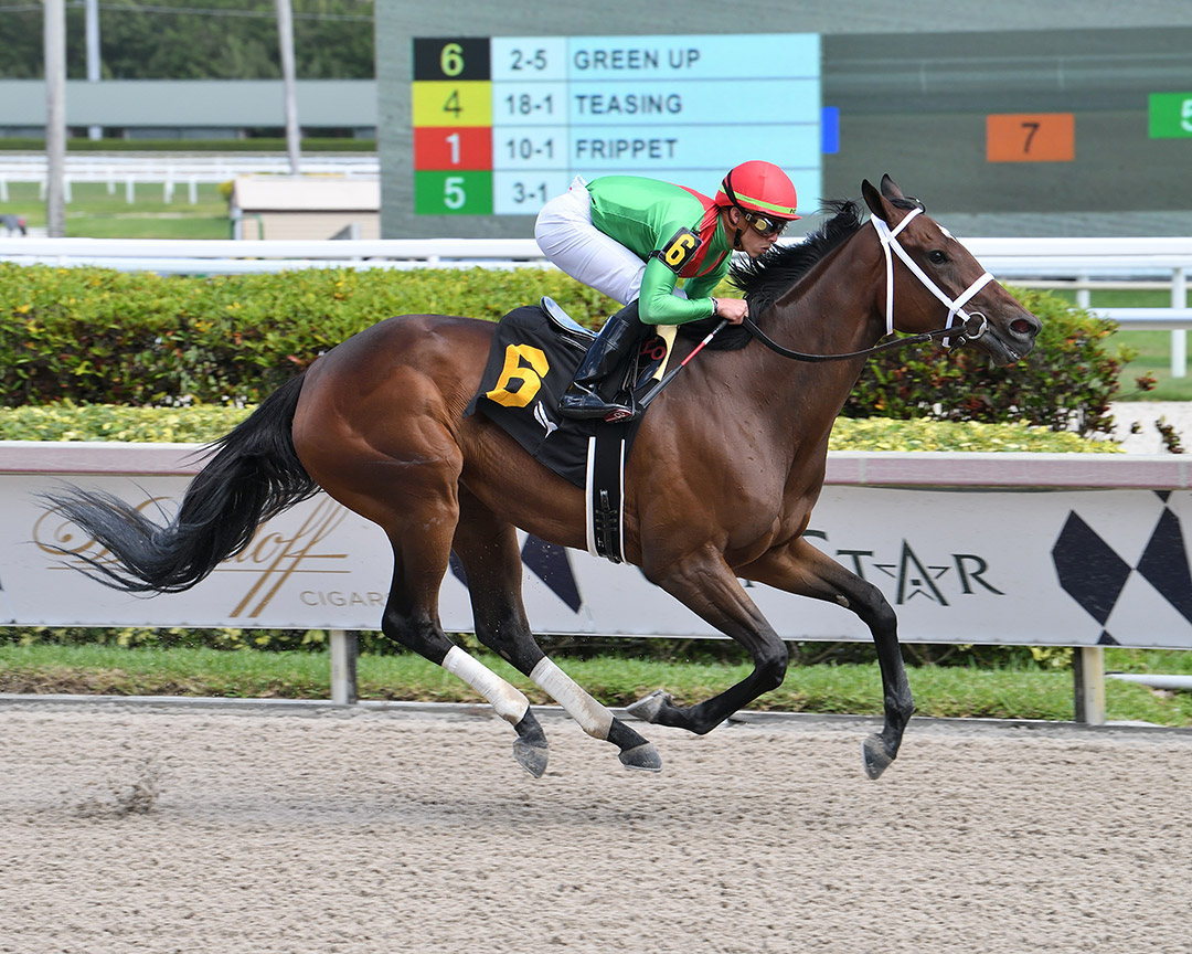 Green Up wins a March 13 maiden race at Gulfstream Park