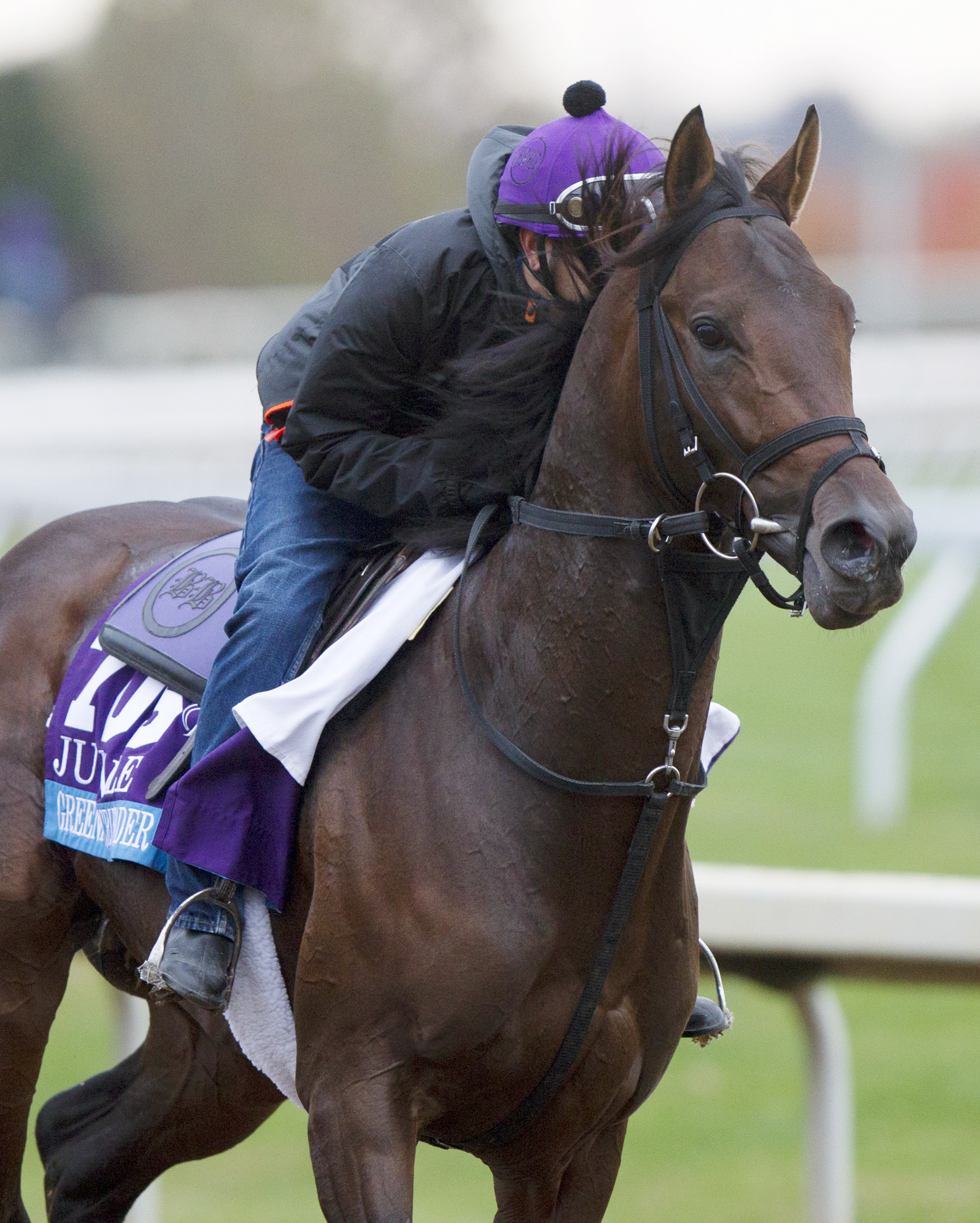 Greenpointcrusader training on Oct. 26
