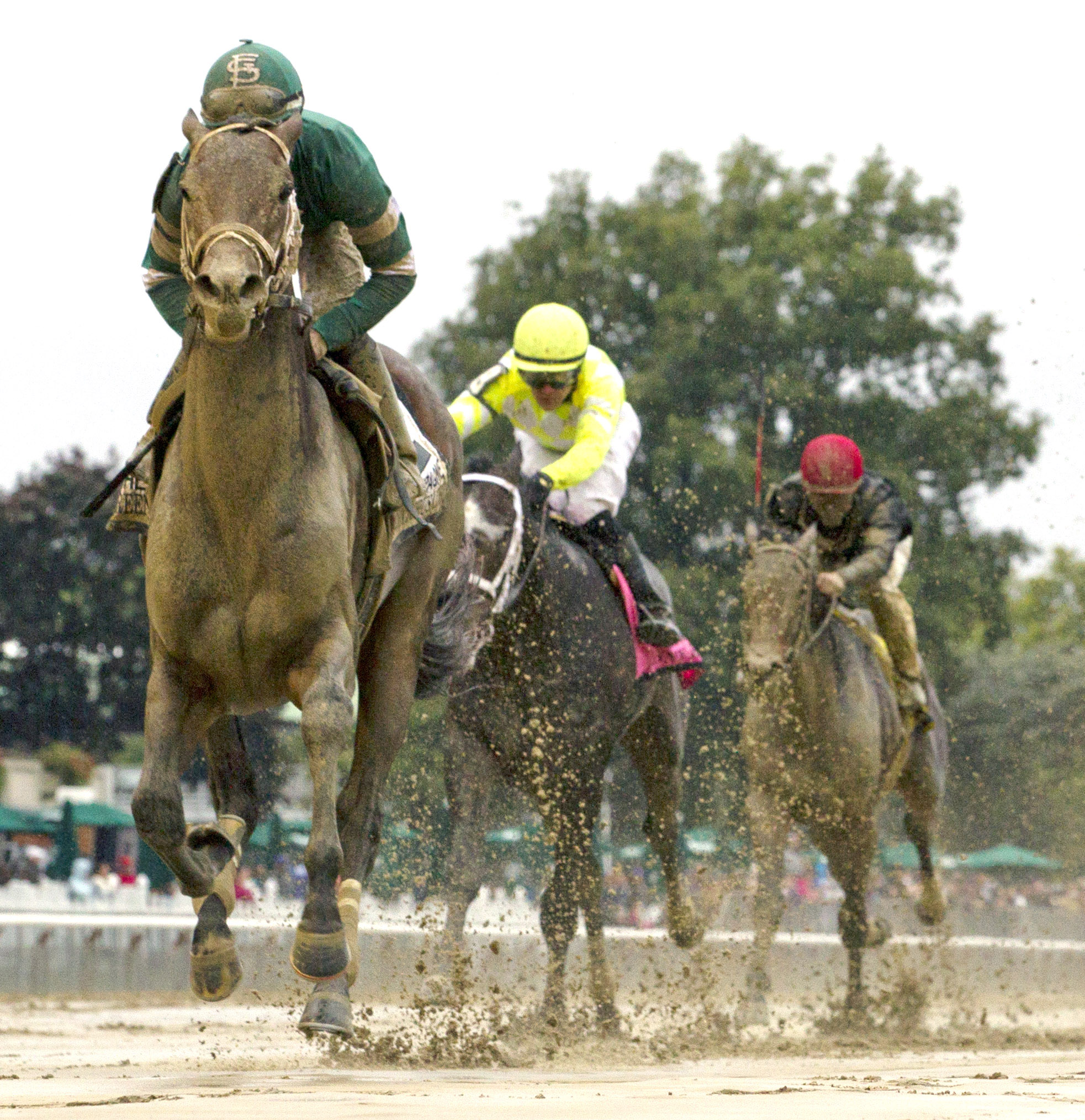 Greenpointcrusader wins the Champagne