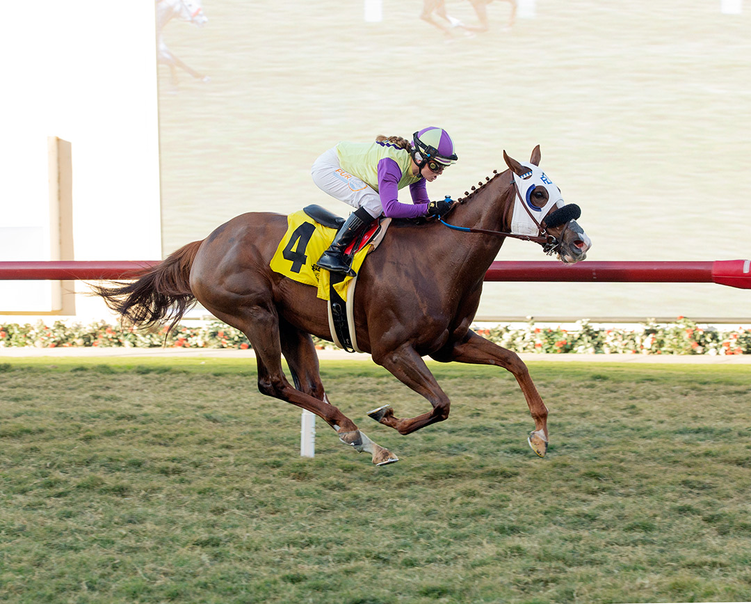 Greg's Diva wins a Nov. 14 allowance optional claimer at Santa Anita