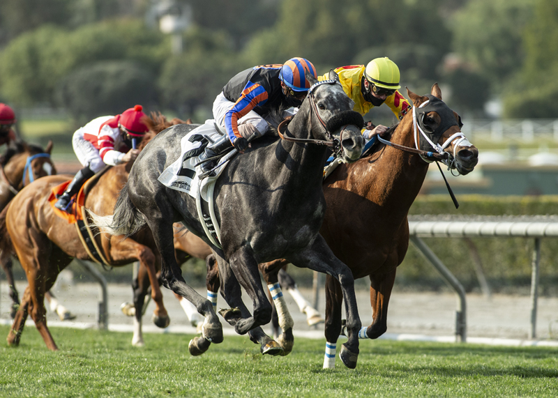 Gregorian Chant wins San Simeon 3-13-2021