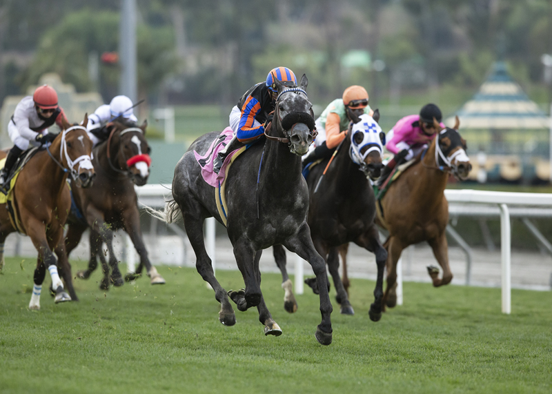 Gregorian Chant wins Clockers' Corner 1-24-2021