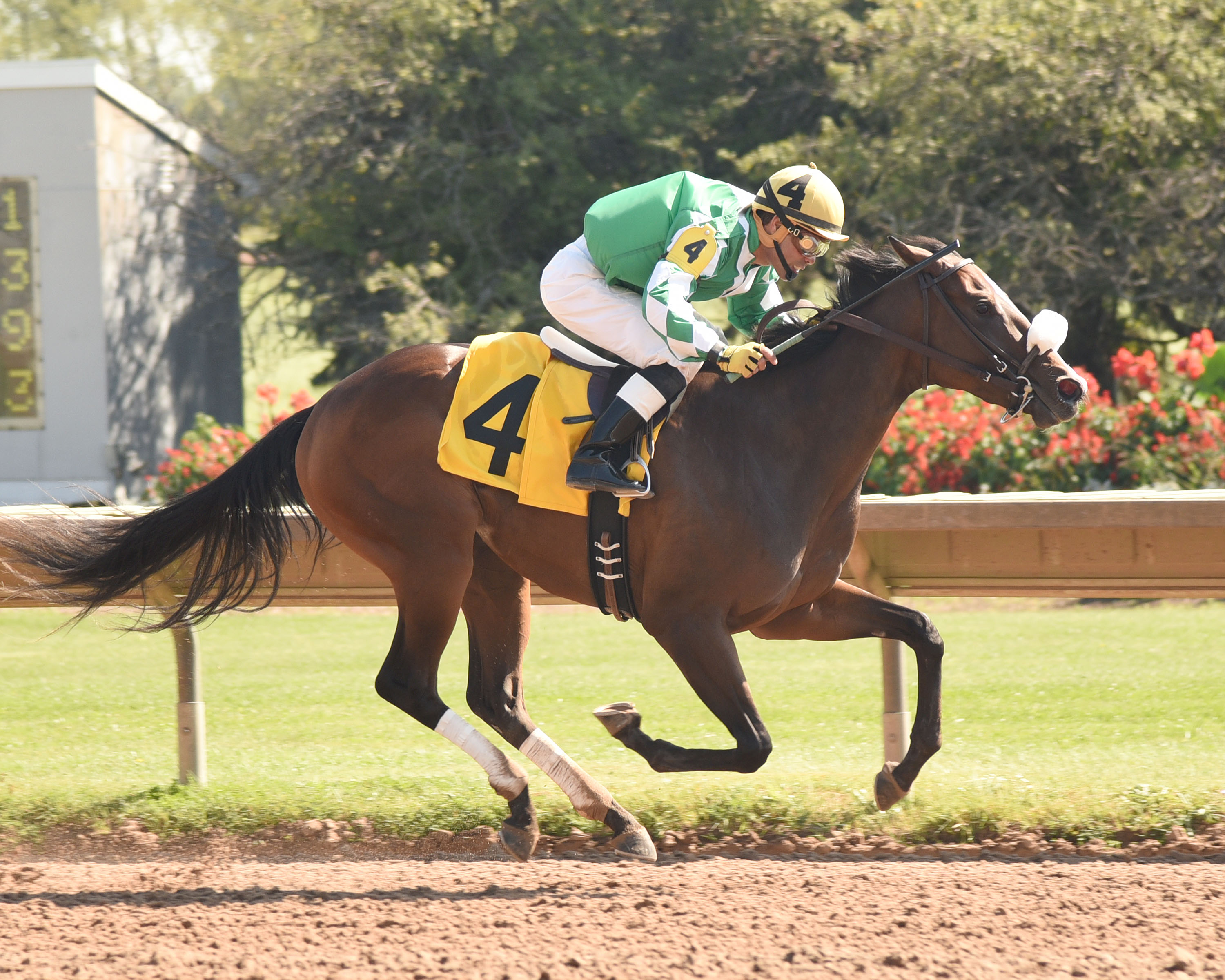 Gregorian Gold 9-18-2015