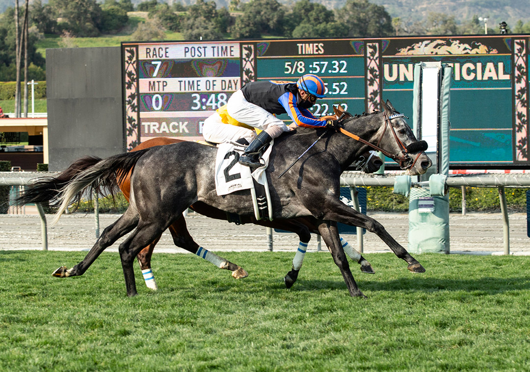 Gregorian Chant (2) wins the 2021 San Simeon Stakes at Santa Anita