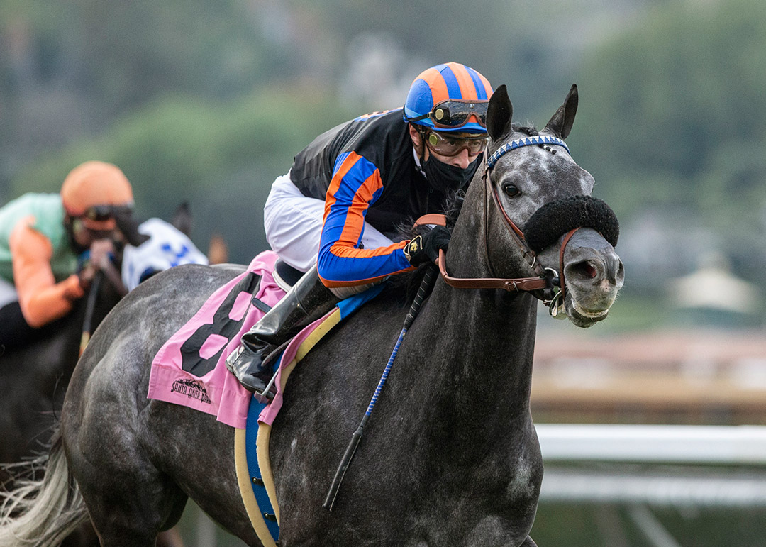 Gregorian Chant wins the 2021 Clocker's Corner Stakes at Santa Anita