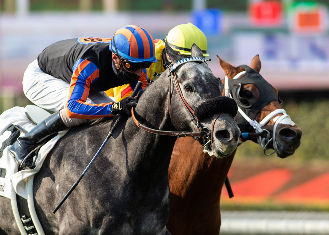 Gregorian Chant (left) wins the San Simeon Stakes at Santa Anita