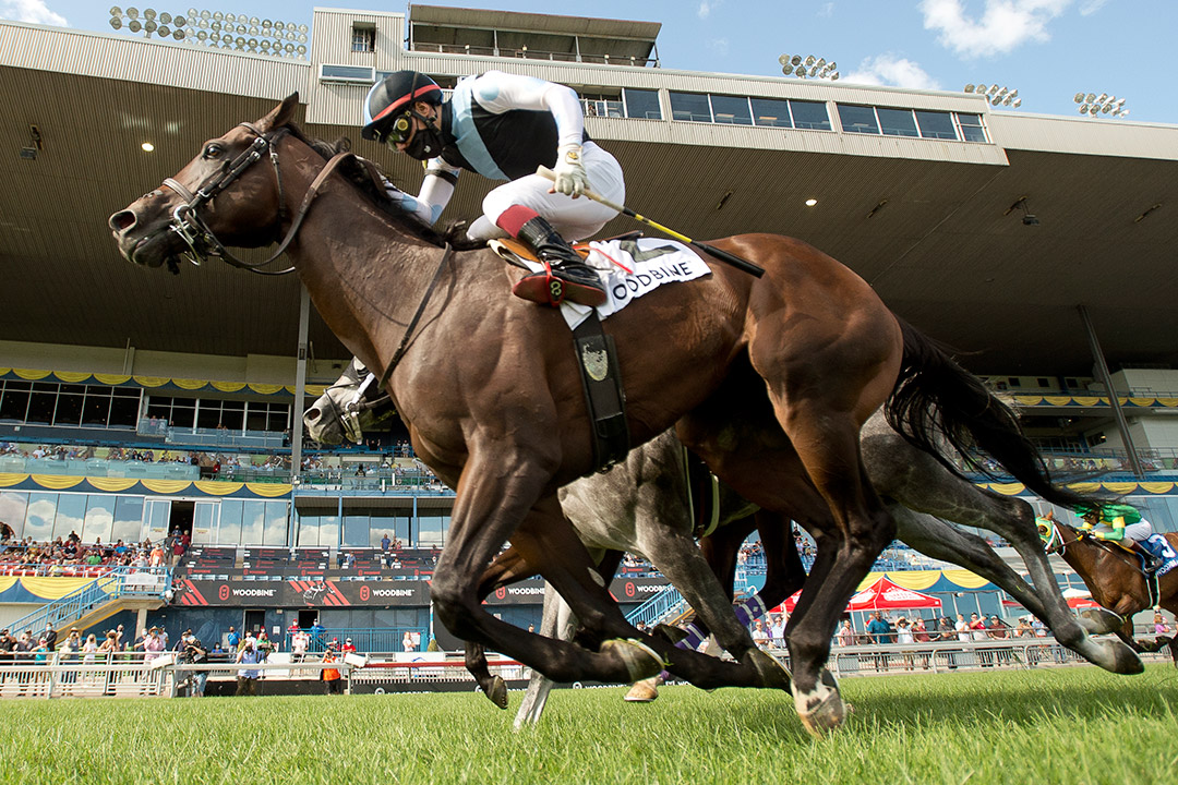 Gretzky the Great (2) wins the 2021 Greenwood Stakes at Woodbine Racetrack