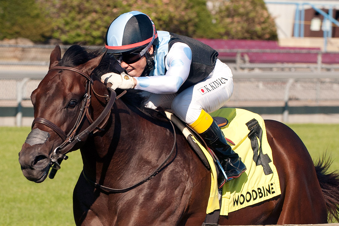 Gretzky the Great wins the 2020 Summer Stakes at Woodbine