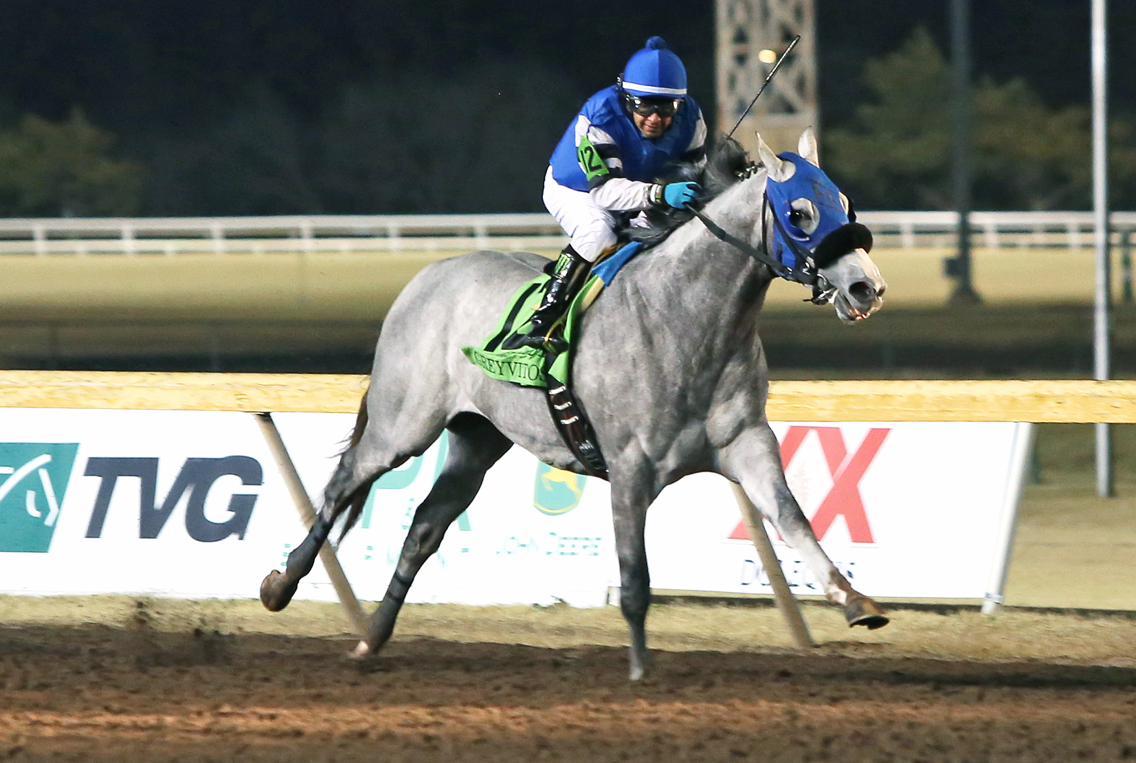 Greyvitos wins the 2017 Springboard Mile