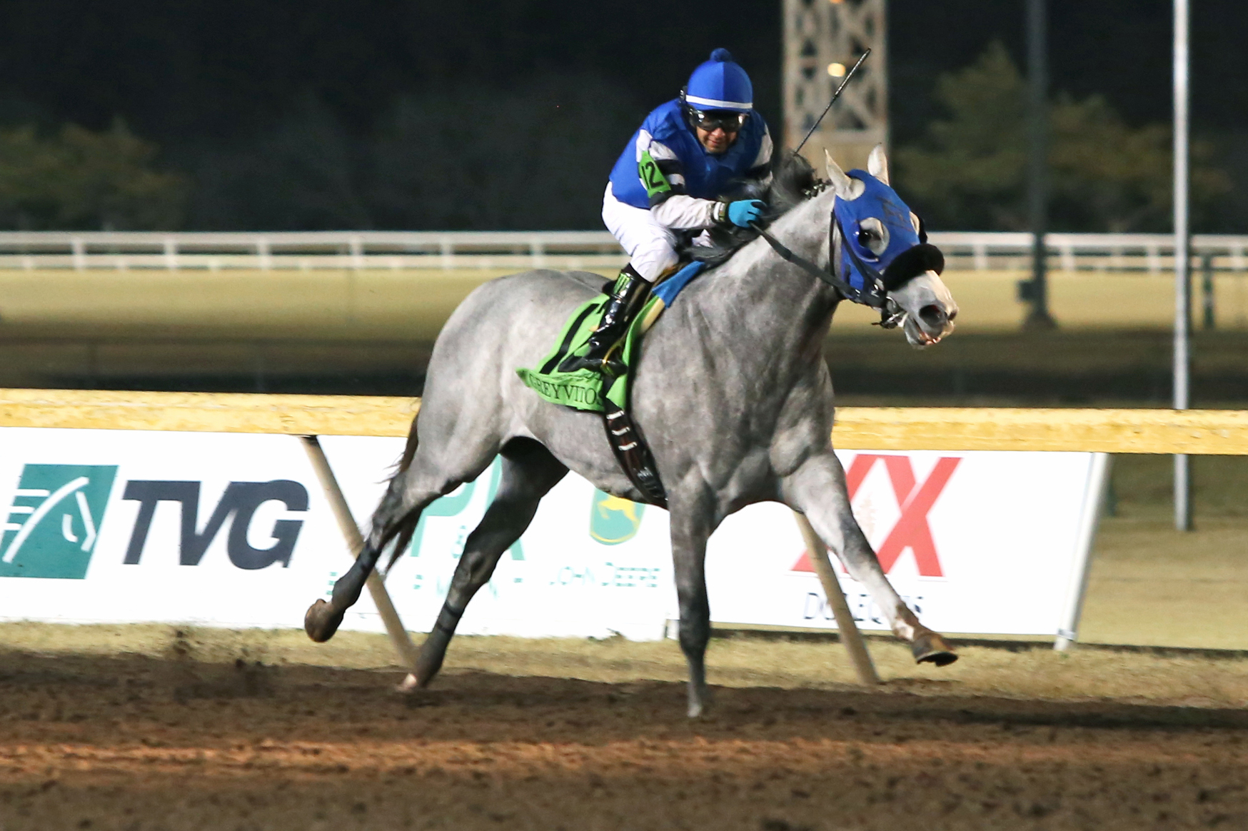 Greyvitos wins the 2017 Springboard Mile