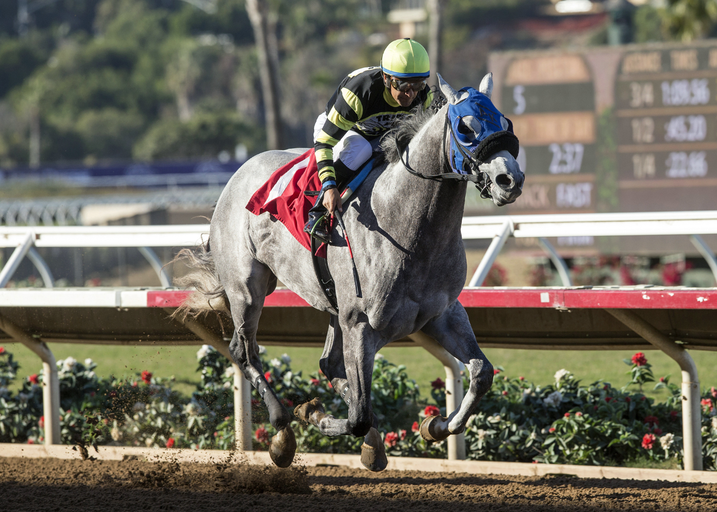 Greyvitos wins the 2017 Bob Hope Stakes