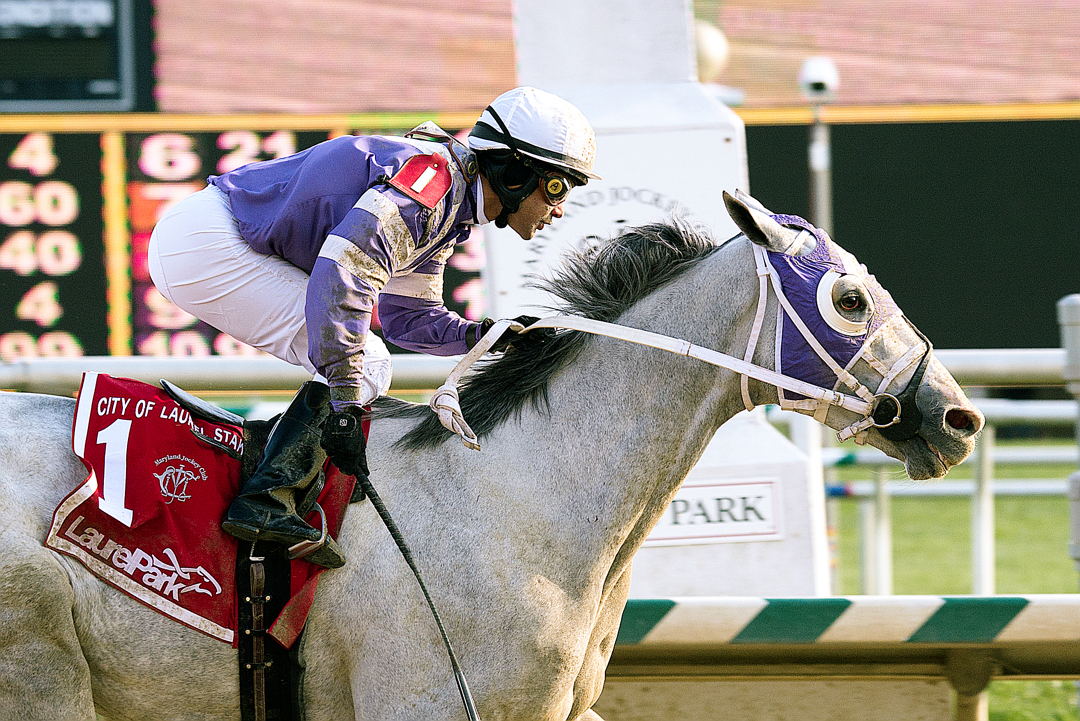Griff wins the 2014 City of Laurel Stakes