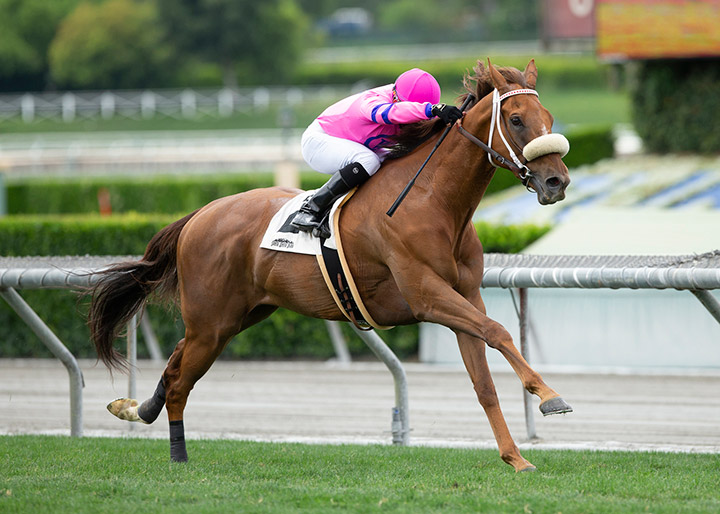 Grinning Tiger wins the 2020 Crystal Water Stakes at Santa Anita