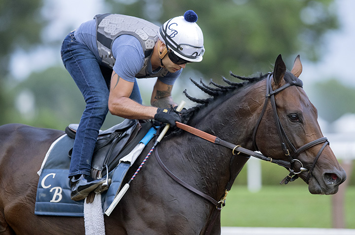 Gronkowski trains at Saratoga on July 25