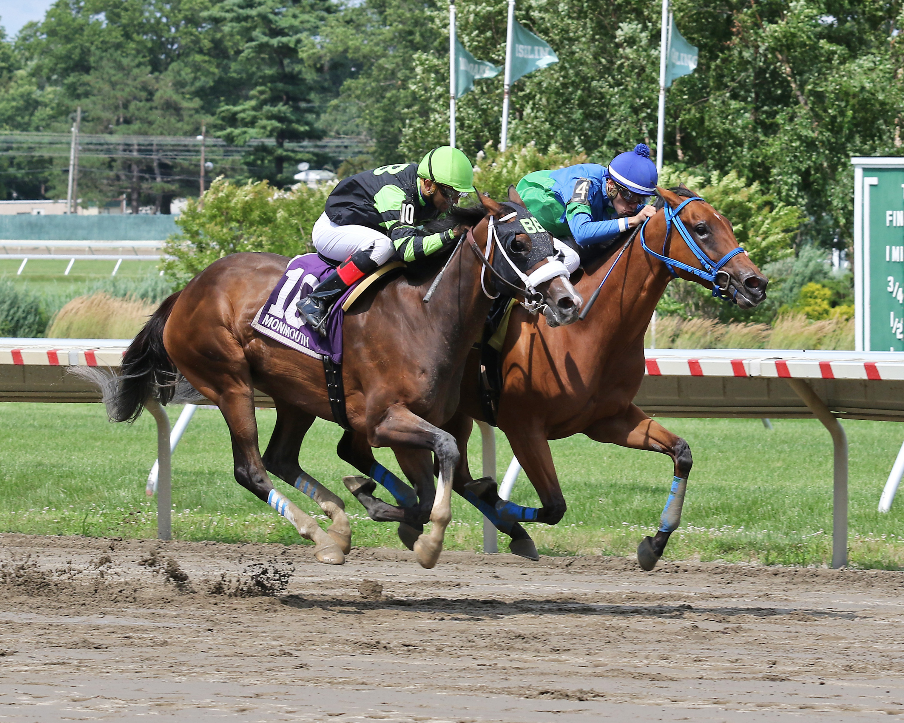 Groovy Surprise on right beats Bramble Bay in the Jersey Girl on July 18 2021