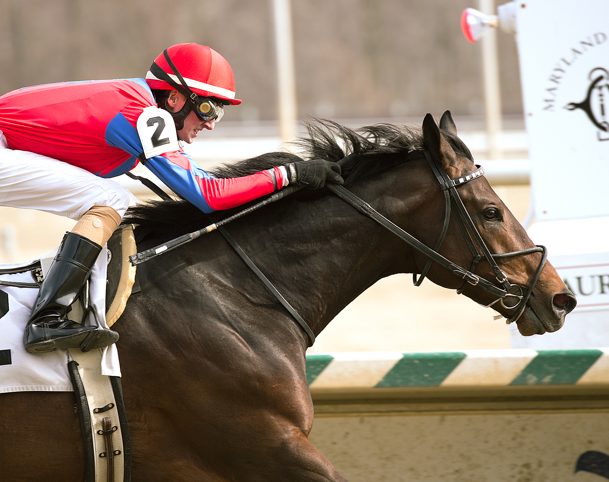 Ground Transport wins the Harrison E. Johnson Memorial