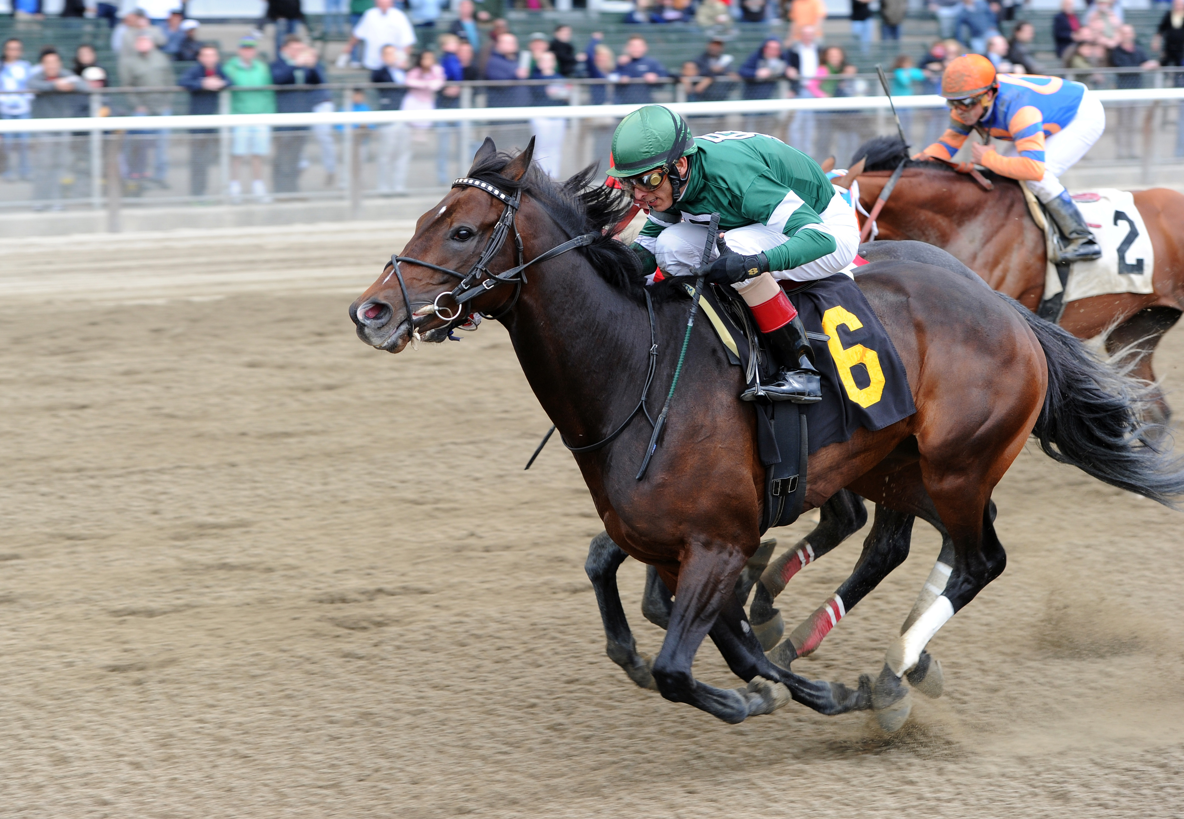 Ground Transport wins the Drosselmeyer Stakes