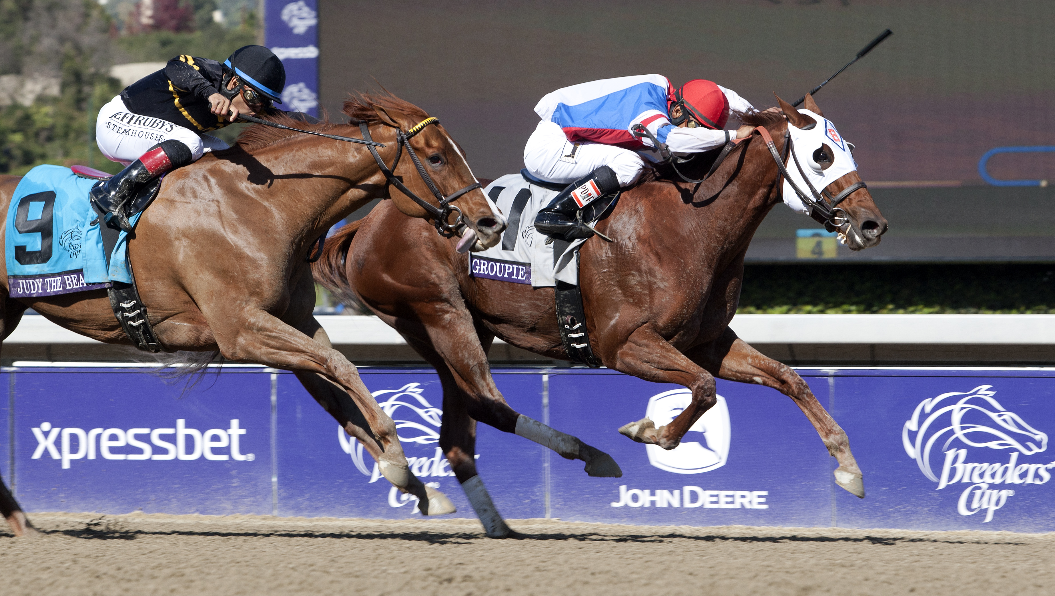 Groupie Doll 11-2-2013