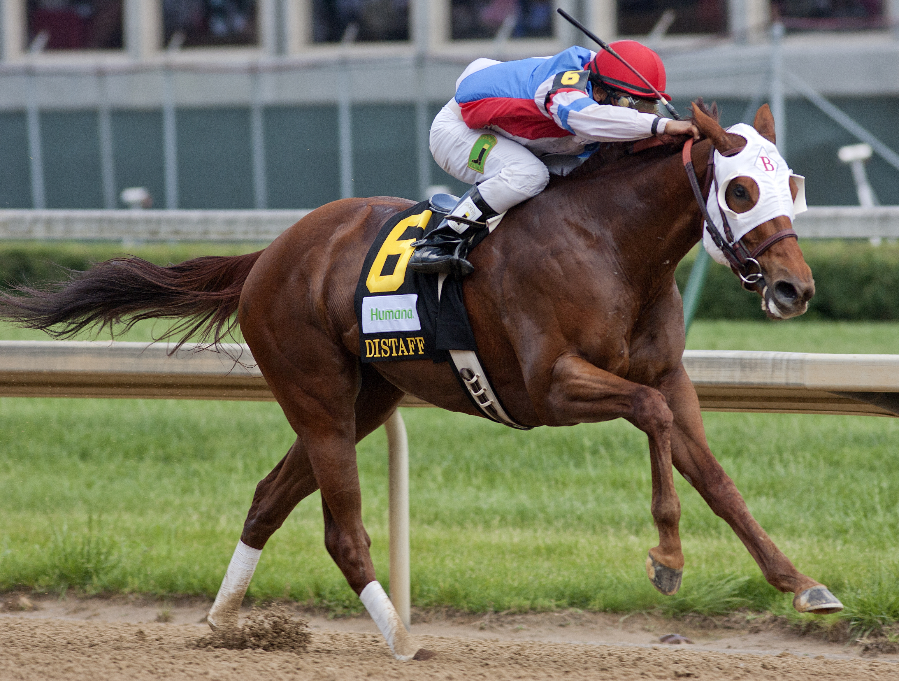 Groupie Doll/Humana Distaff