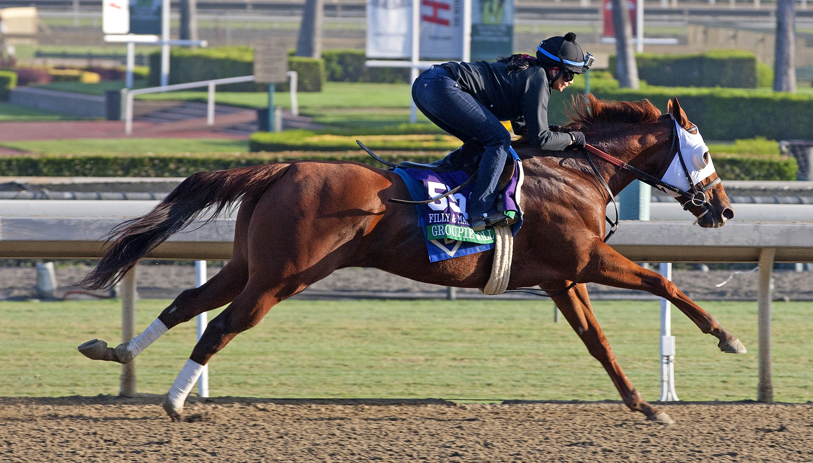 Groupie Doll 10-26-2013