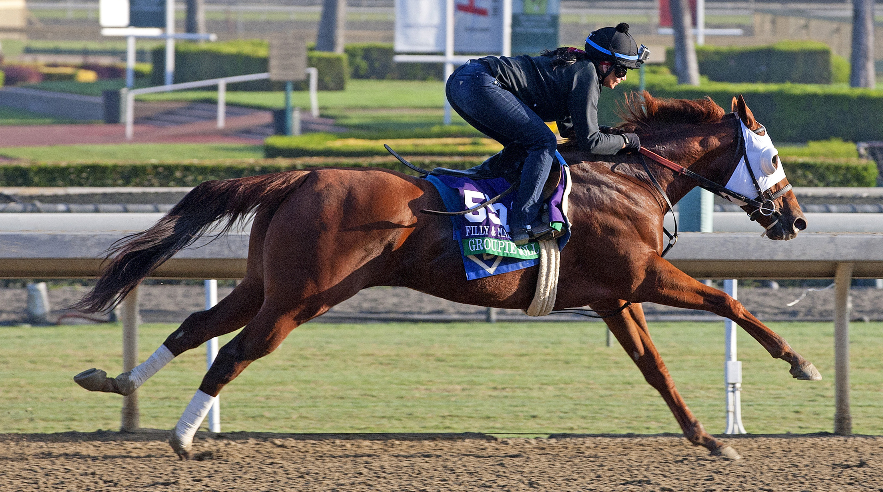 Groupie Doll training at Santa Anita Park