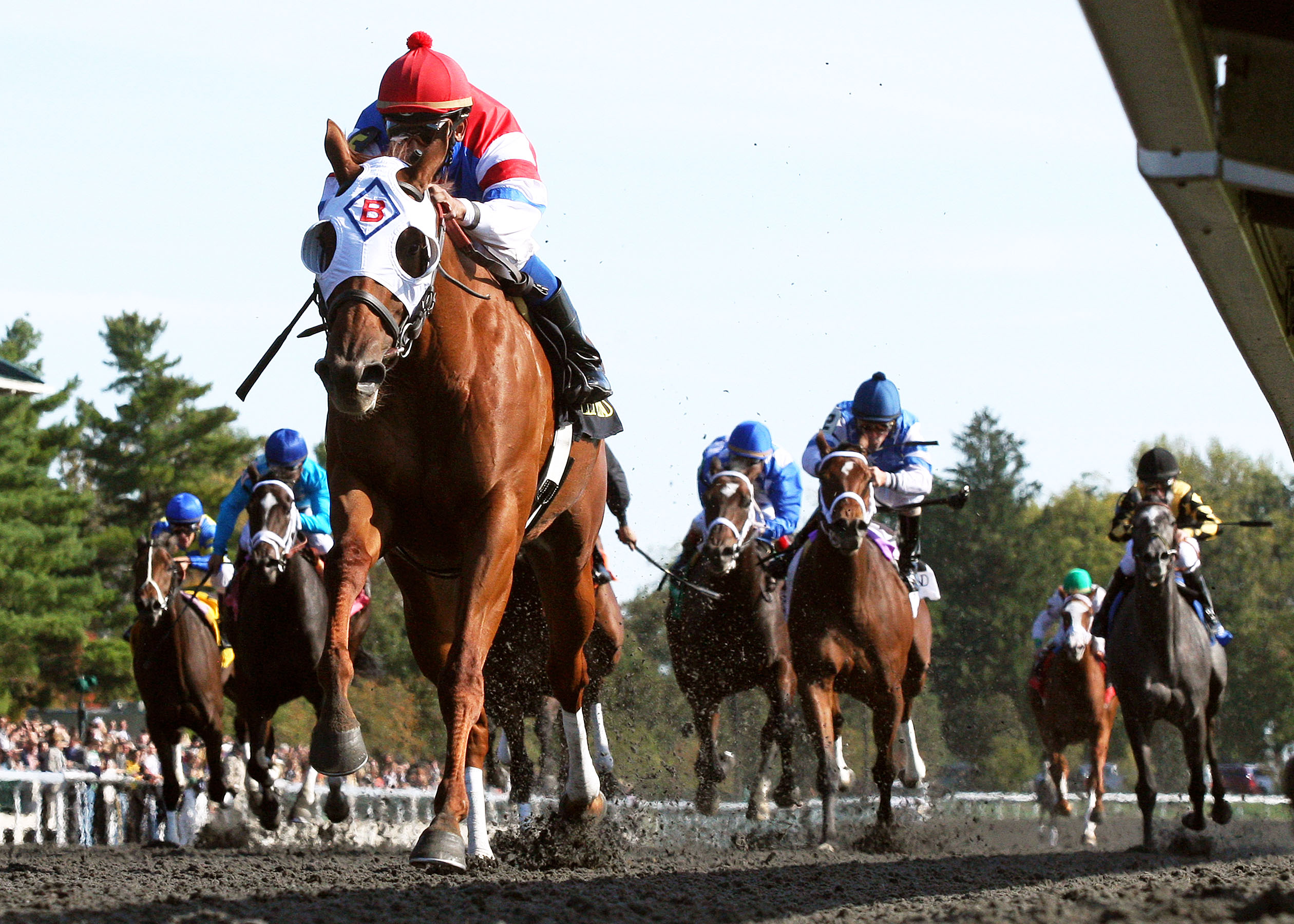 Groupie Doll/Thoroughbred Club of America