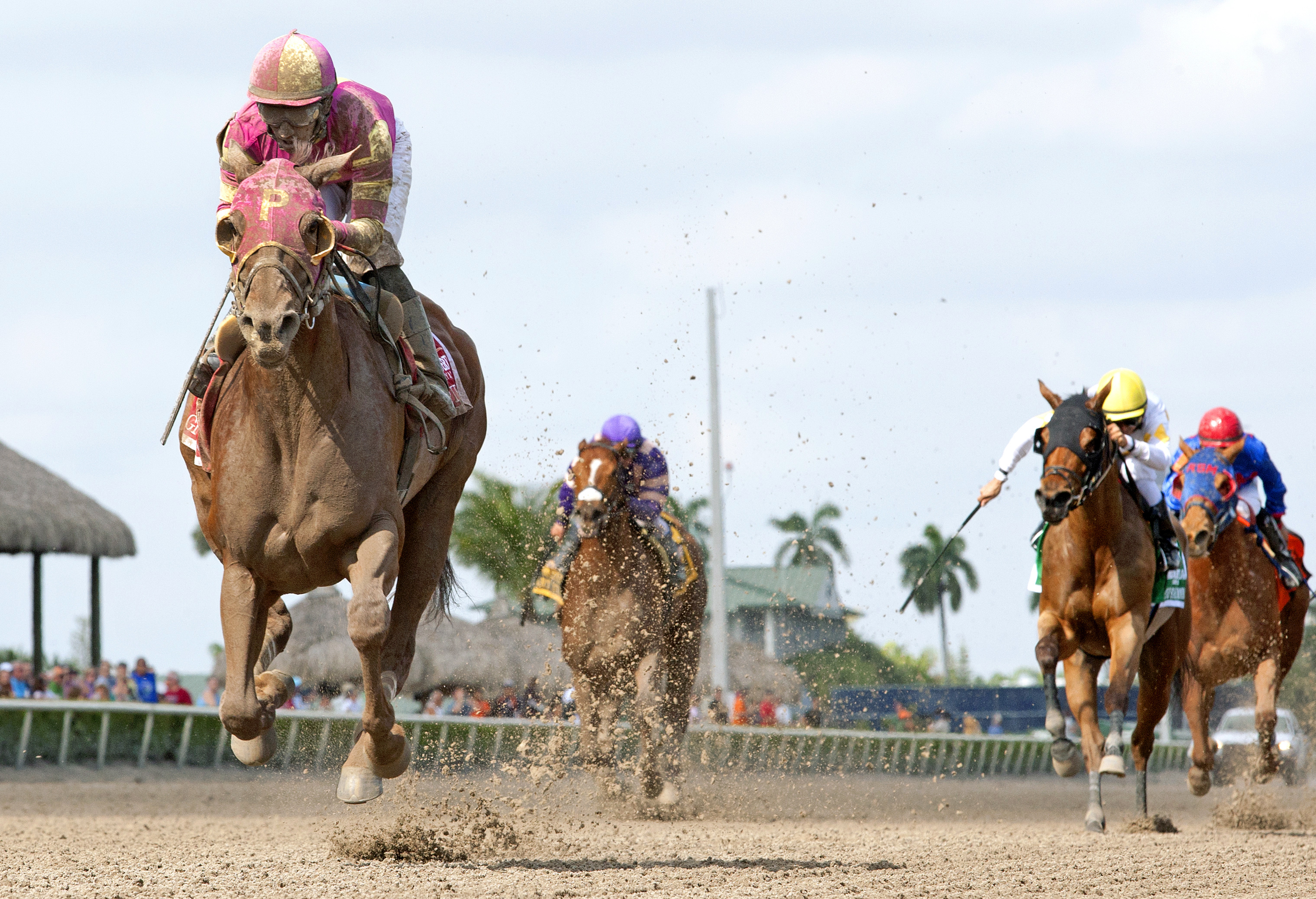 Groupie Doll wins the Hurricane Bertie