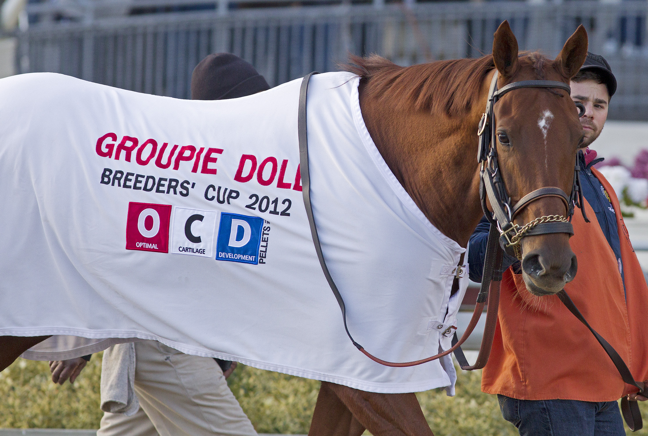 Groupie Doll, Nov. 24, 2012