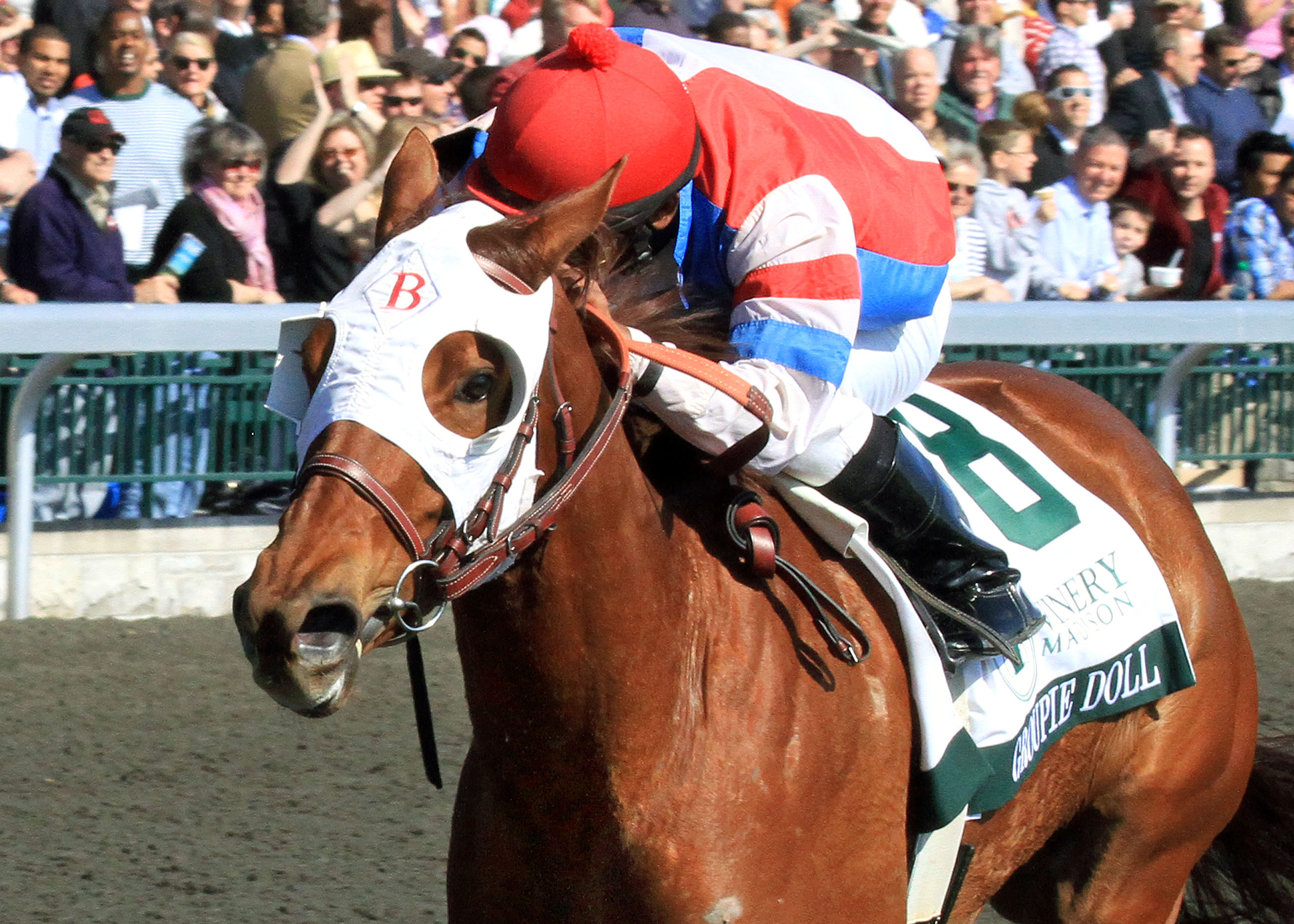Groupie Doll/Vinery Madison