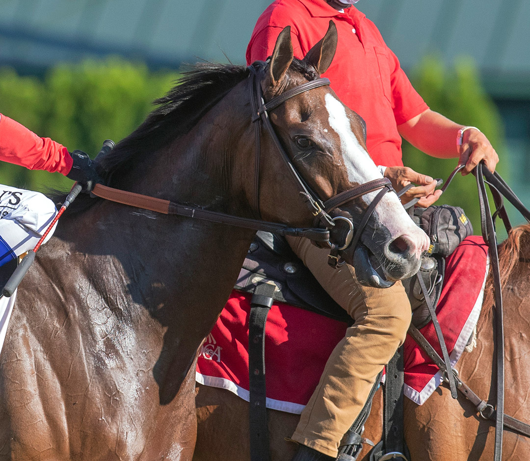 Growth Engine at Saratoga in August 2020