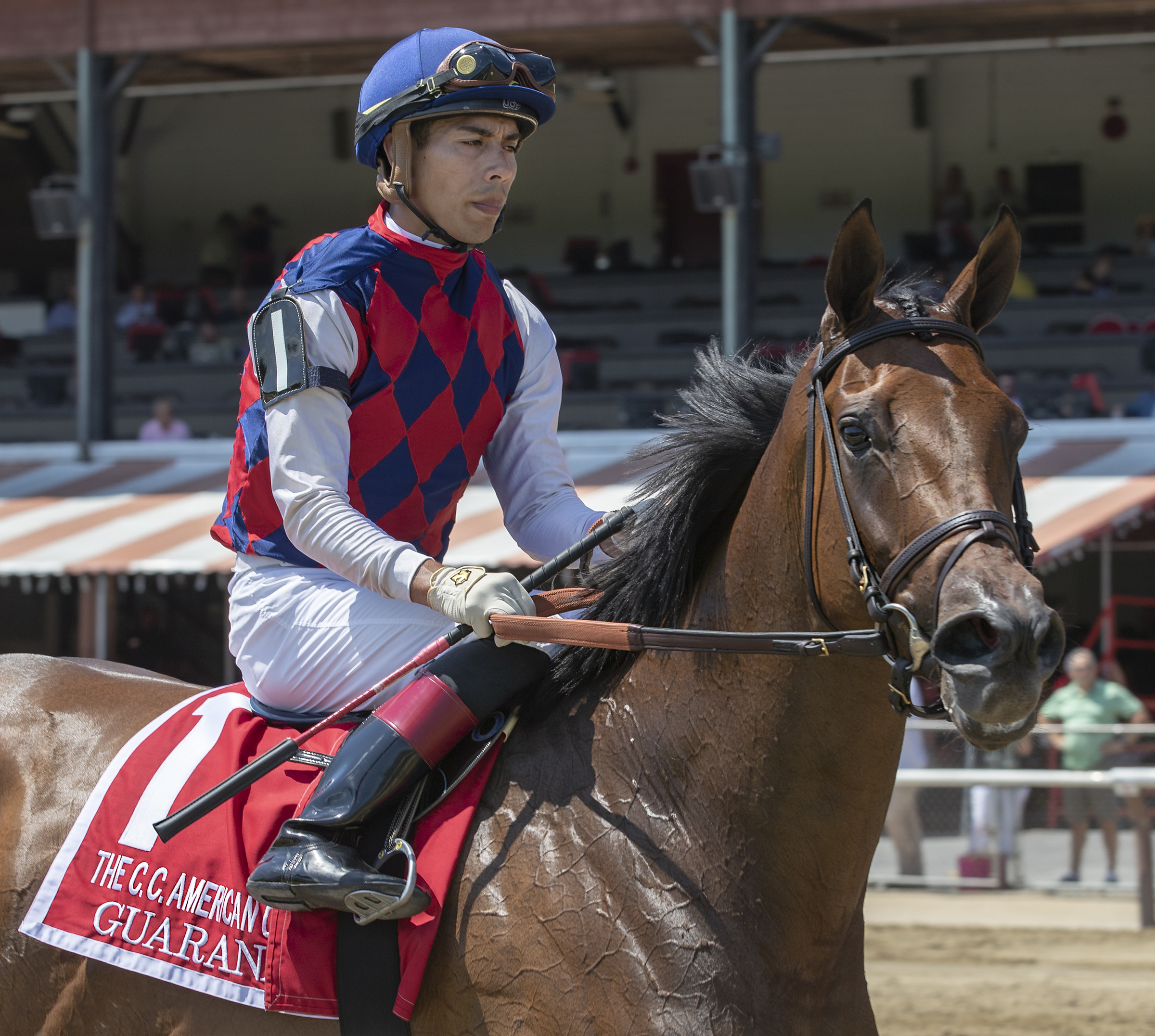 Guarana after winning the 2019 Coaching Club American Oaks