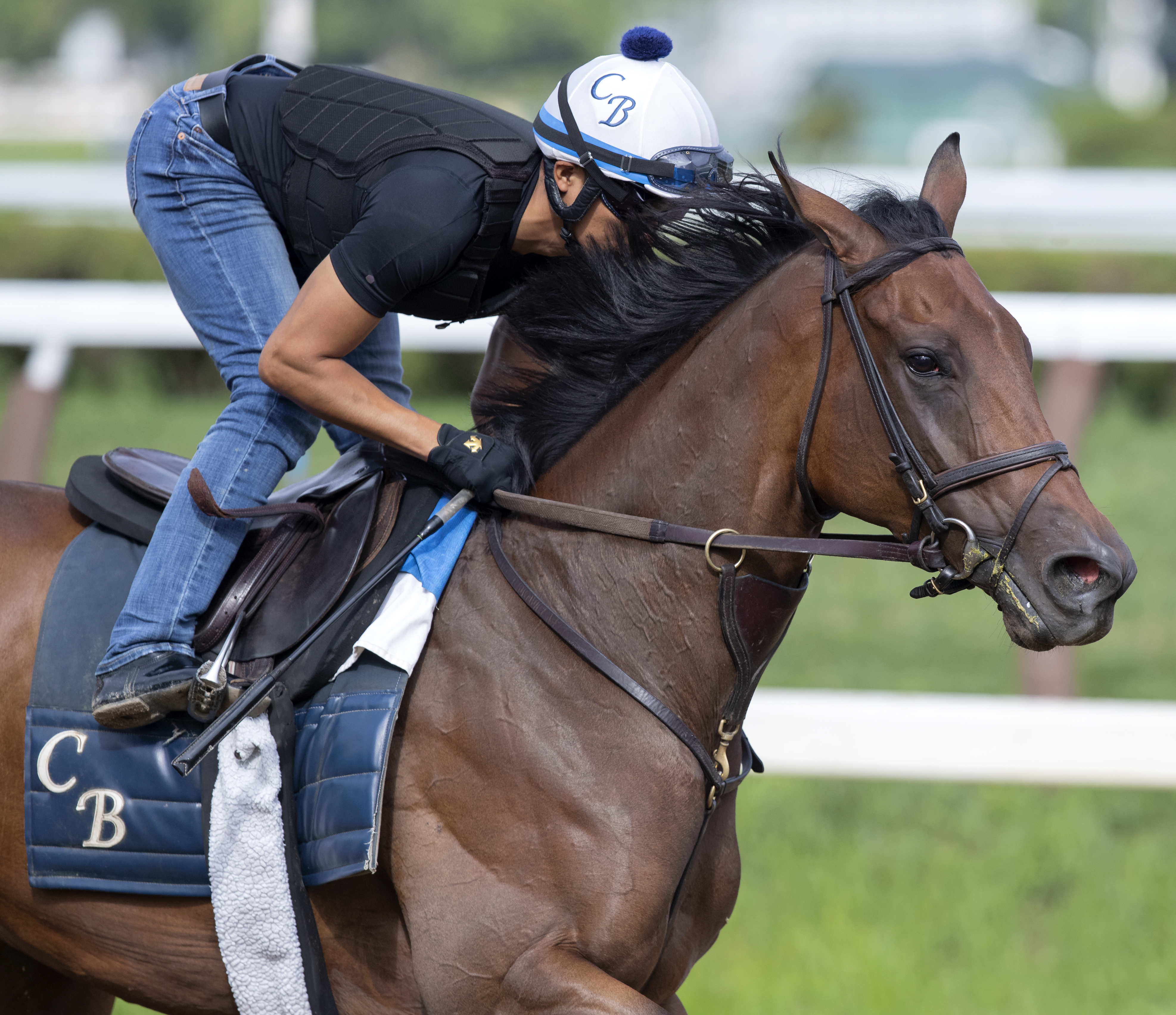 Guarana trains at Saratoga on 7.18.19