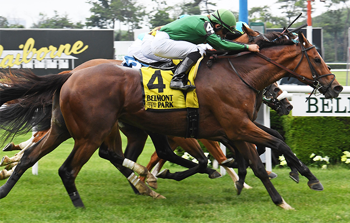 Gucci Factor wins the 2019 Poker Stakes