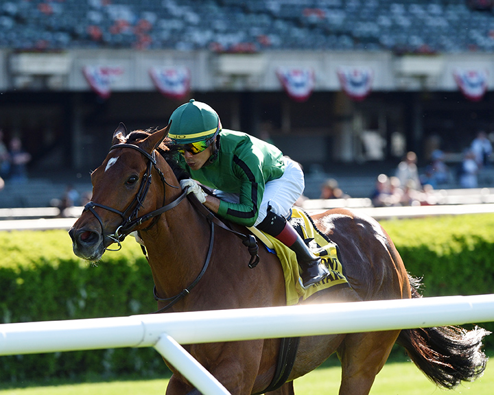 Gucci Factor wins the 2019 Kingston Stakes at Belmont Park