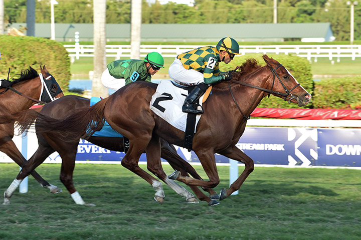 Gufo wins a March 27 allowance at Gulfstream Park