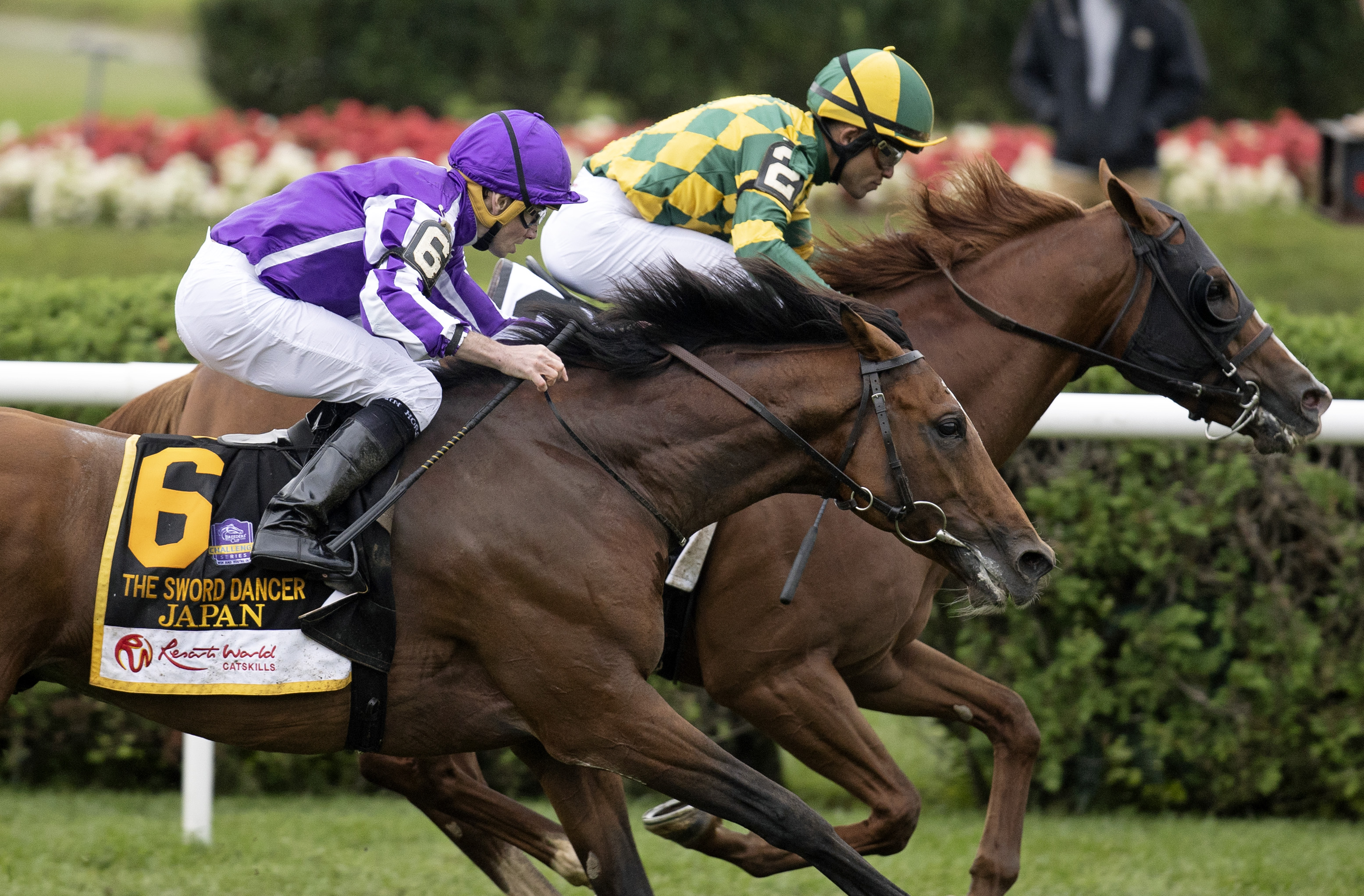 Gufo (2) wins Sword Dancer 8-28-2021
