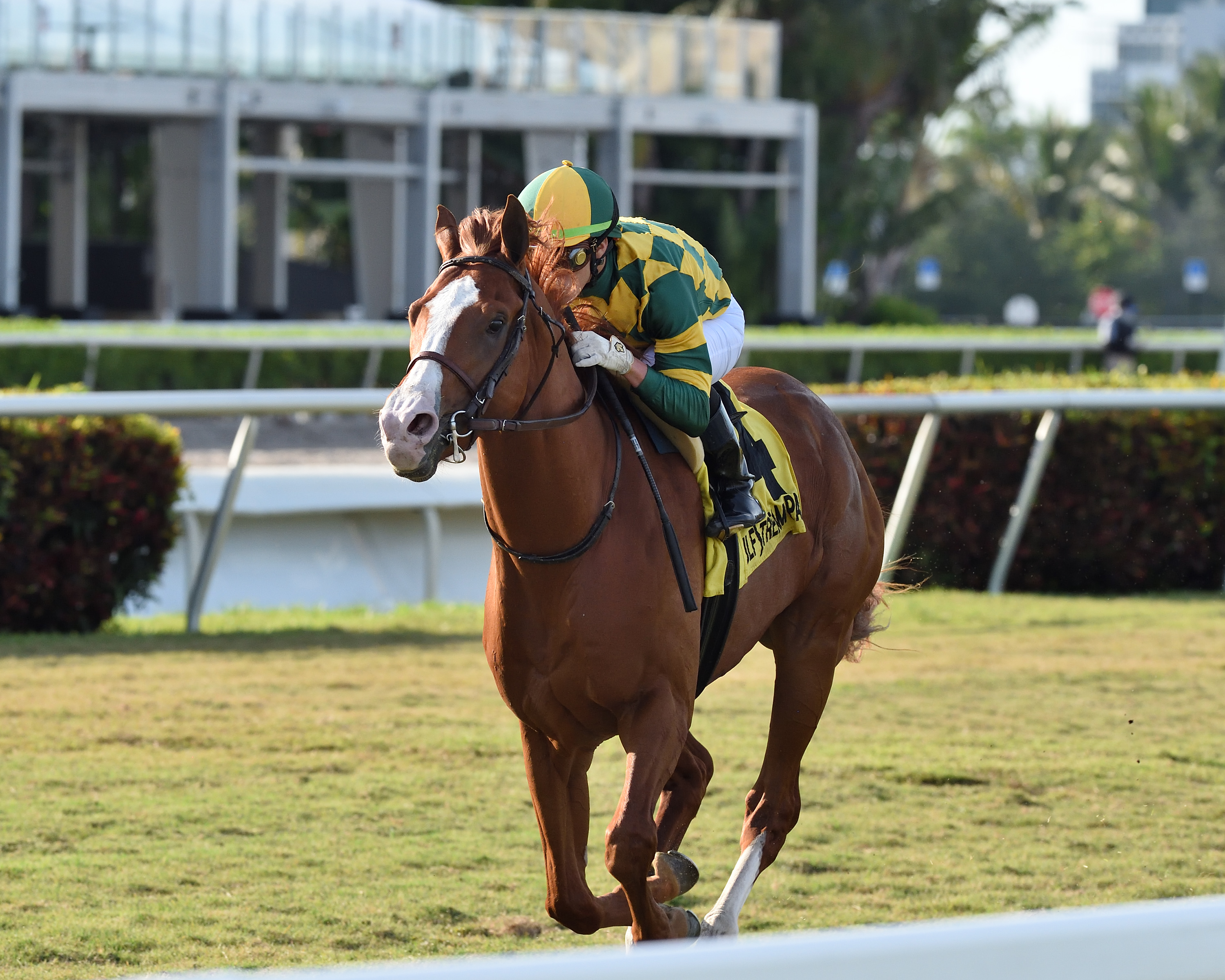 Gufo.English Channel Stakes.Ryan Thompson.5-2-20