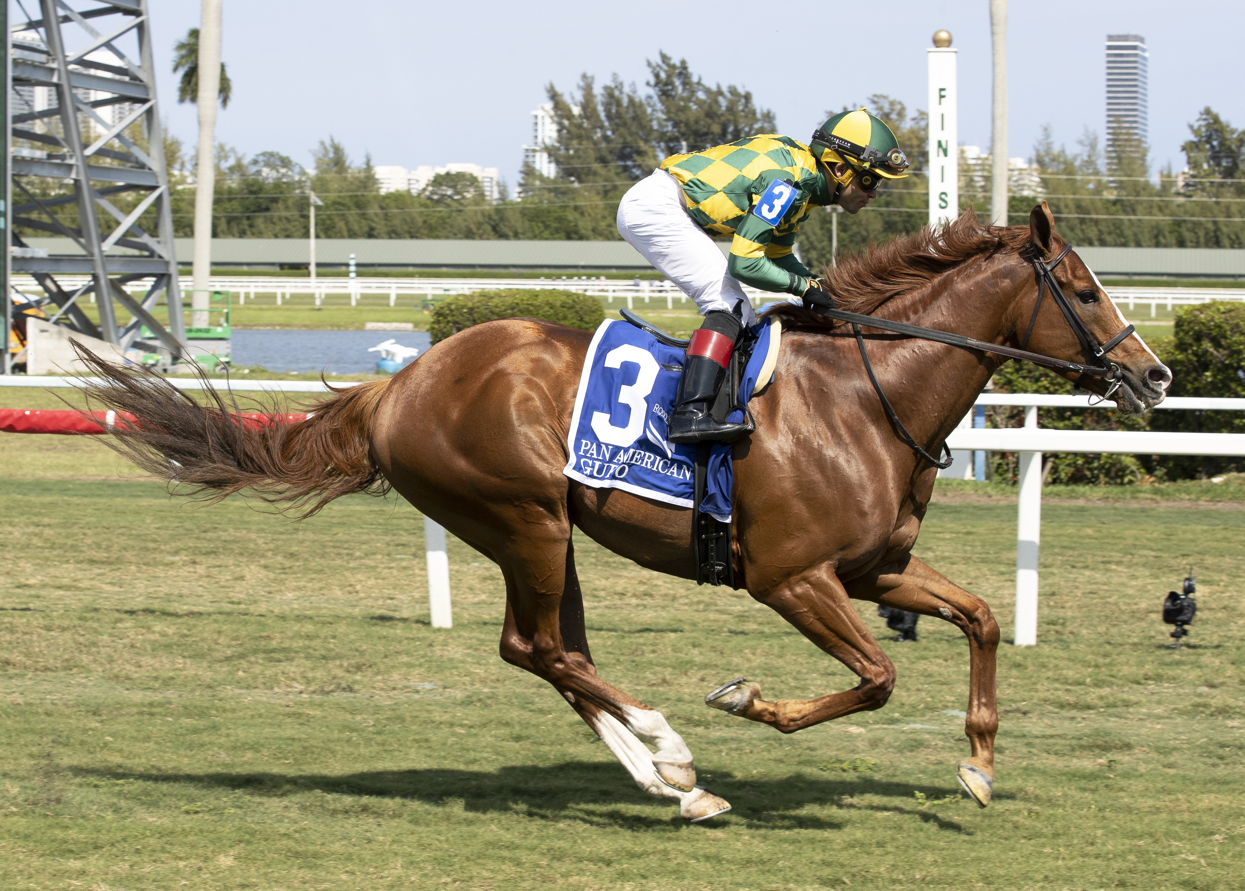 Gufo wins Pan American 4-2-2022
