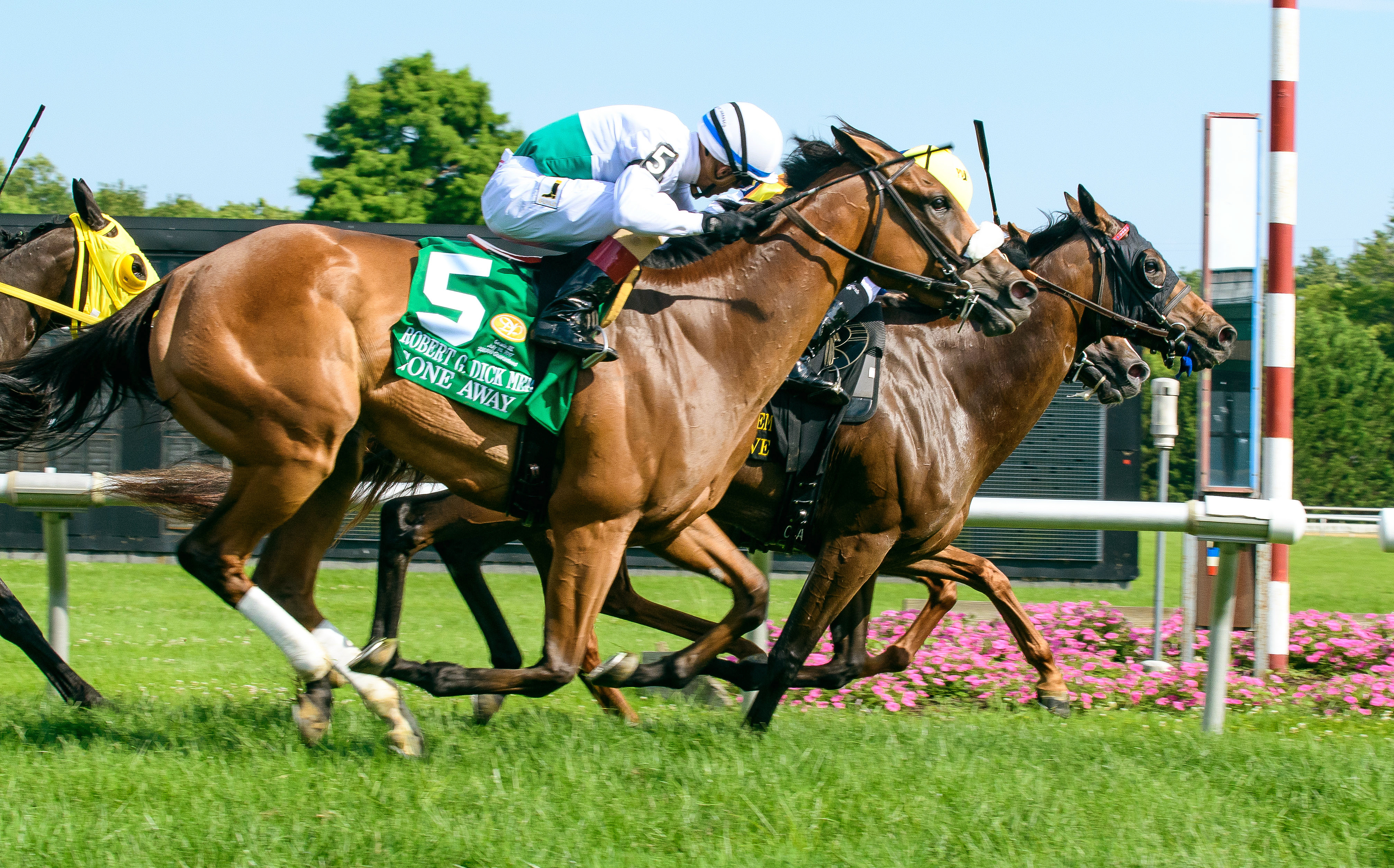 Guilty Twelve wins the Robert G. Dick Stakes