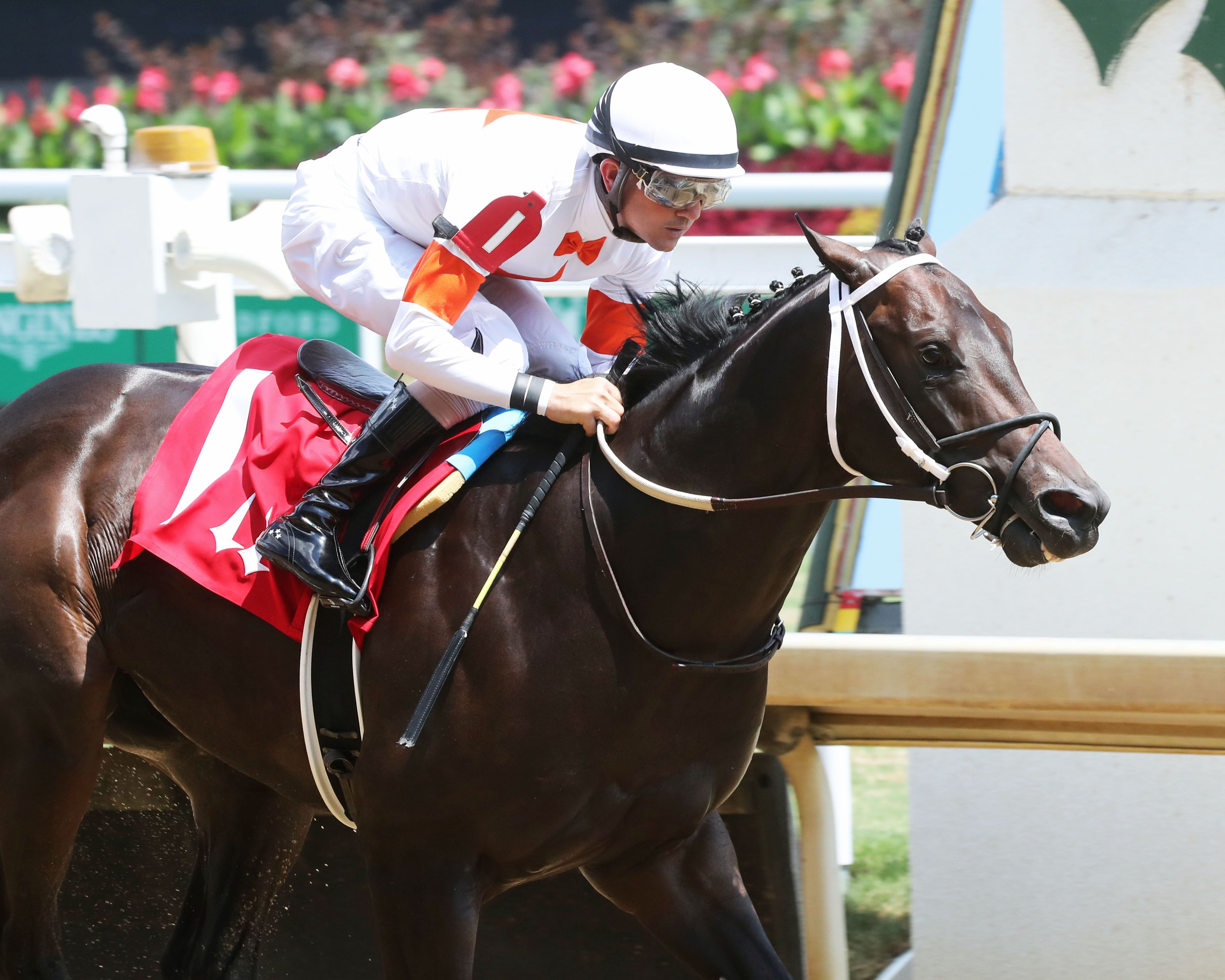 Gulfport romps in the Bashford Manor at Churchill on July 4 2022