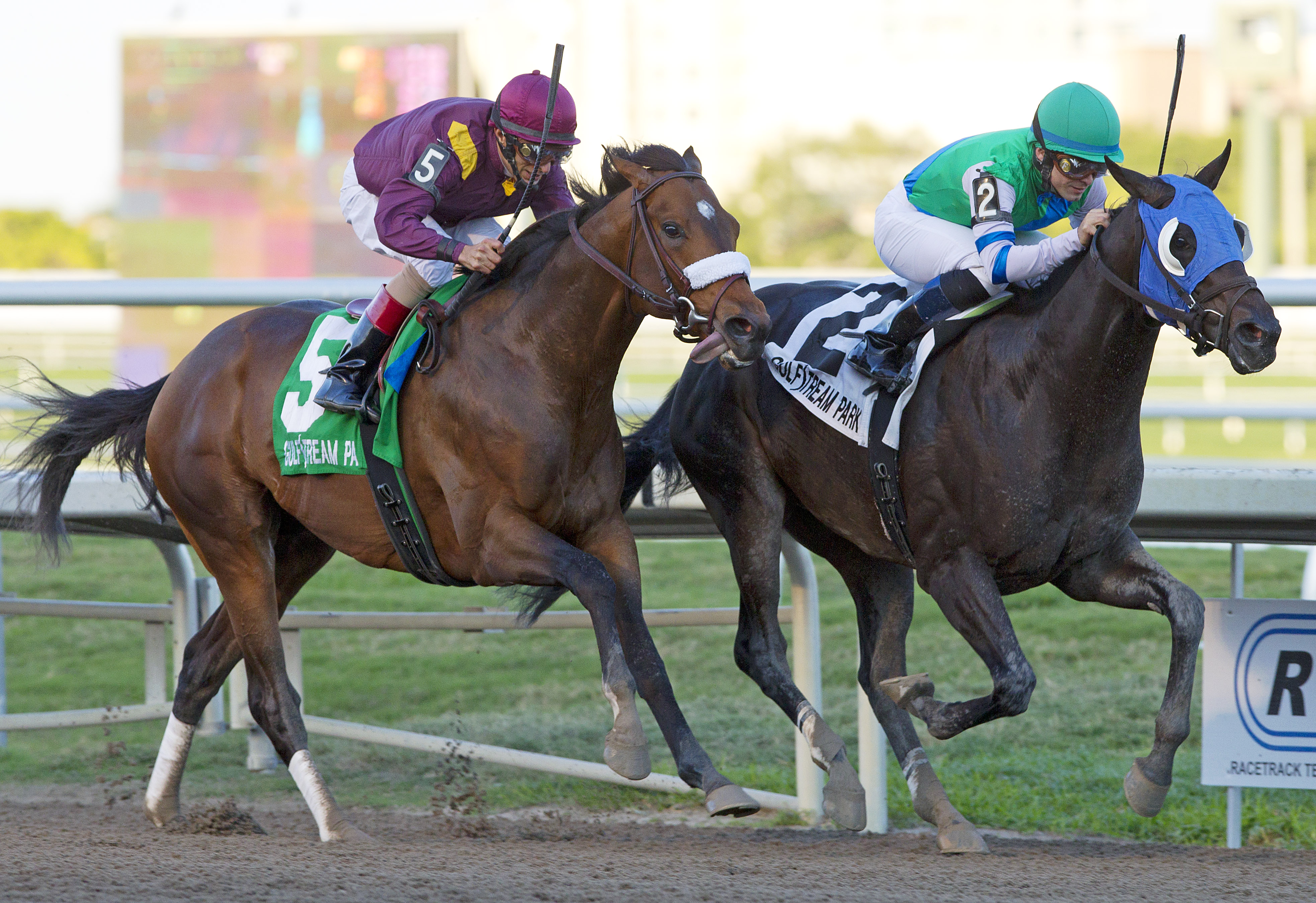 Reveron/Gulfstream Derby