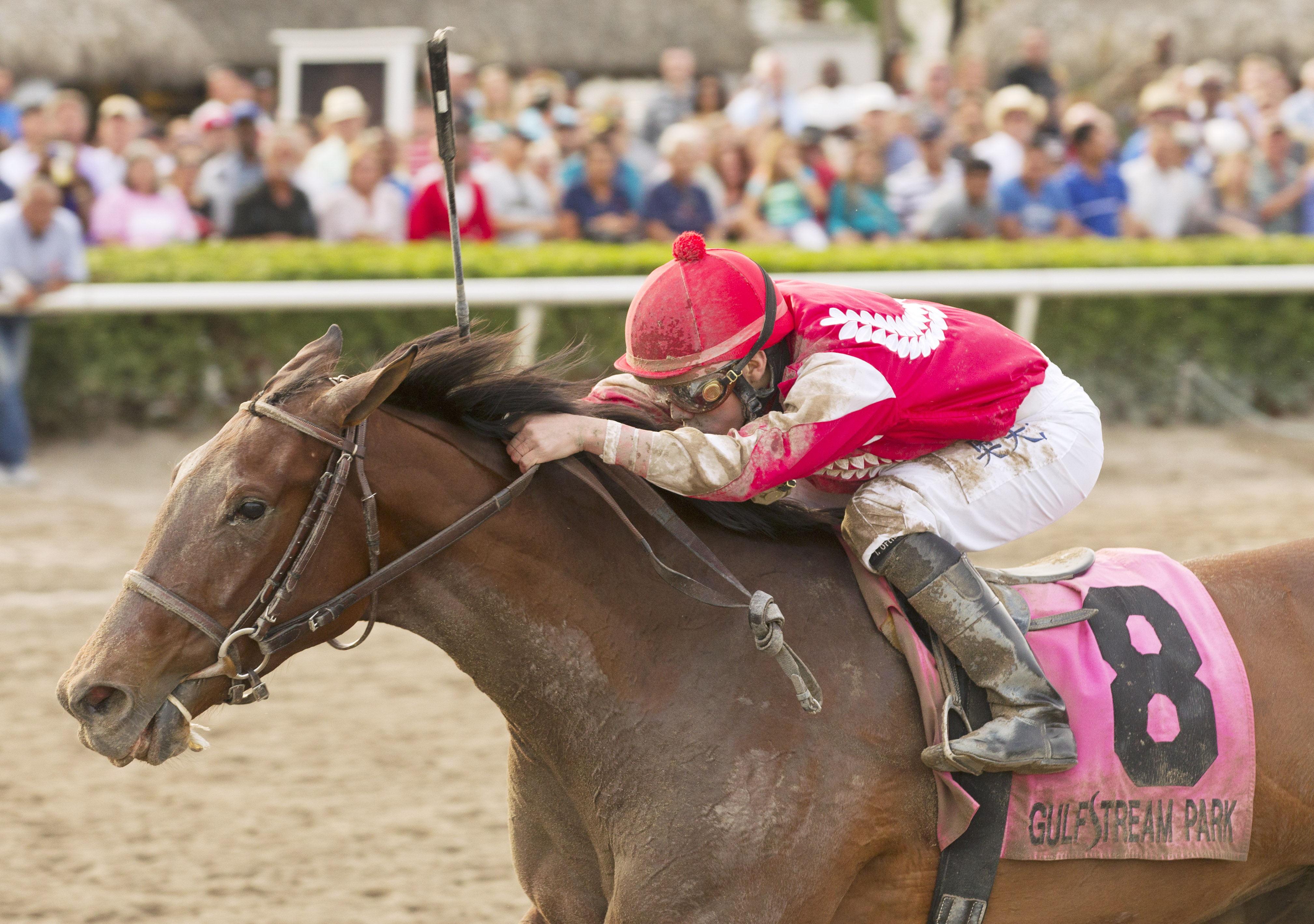 Birdatthewire 3-28-2015