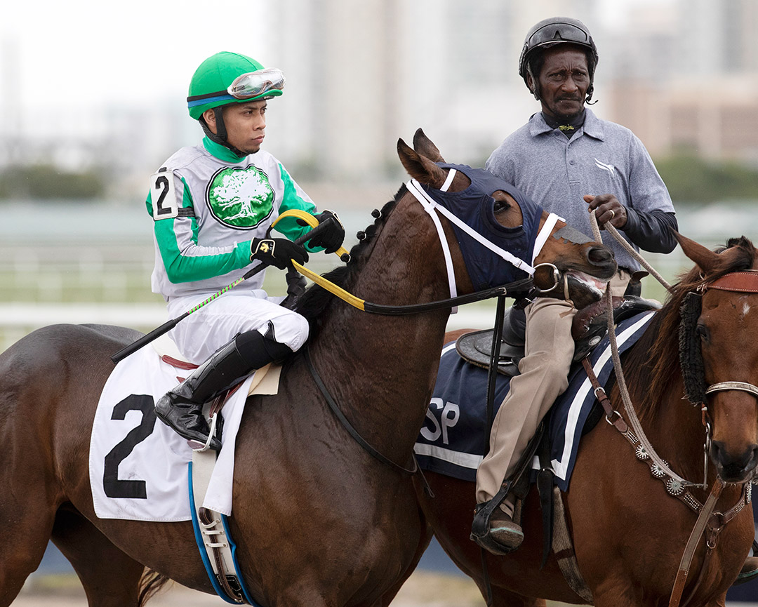 Gump at Gulfstream Park in February 2020