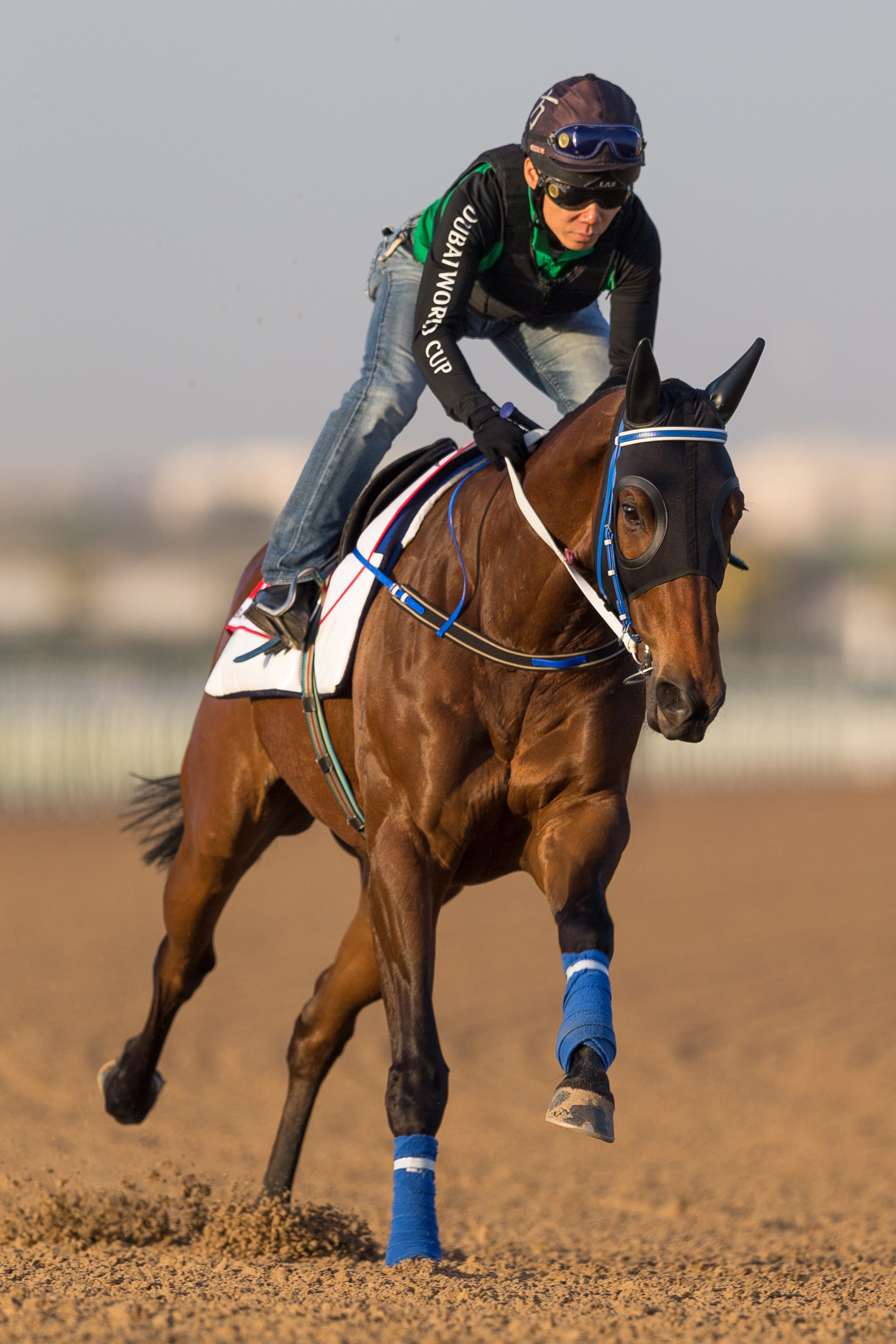 Gun Pit trains at Meydan in March 2016