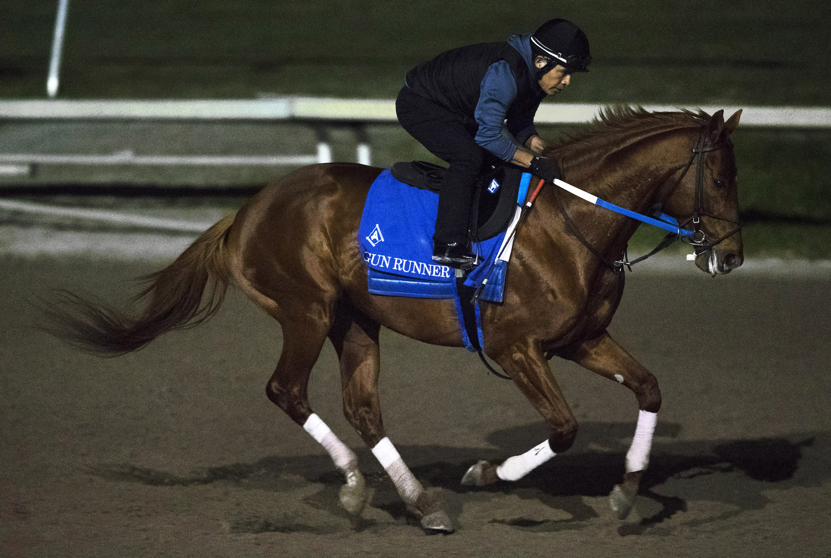 Gun Runner