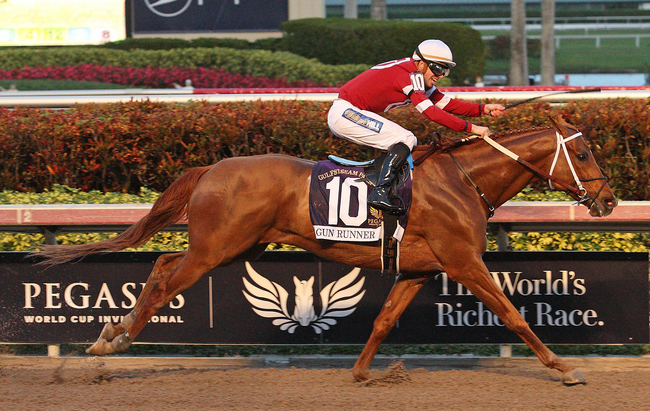 Gun Runner wins 2018 Pegasus