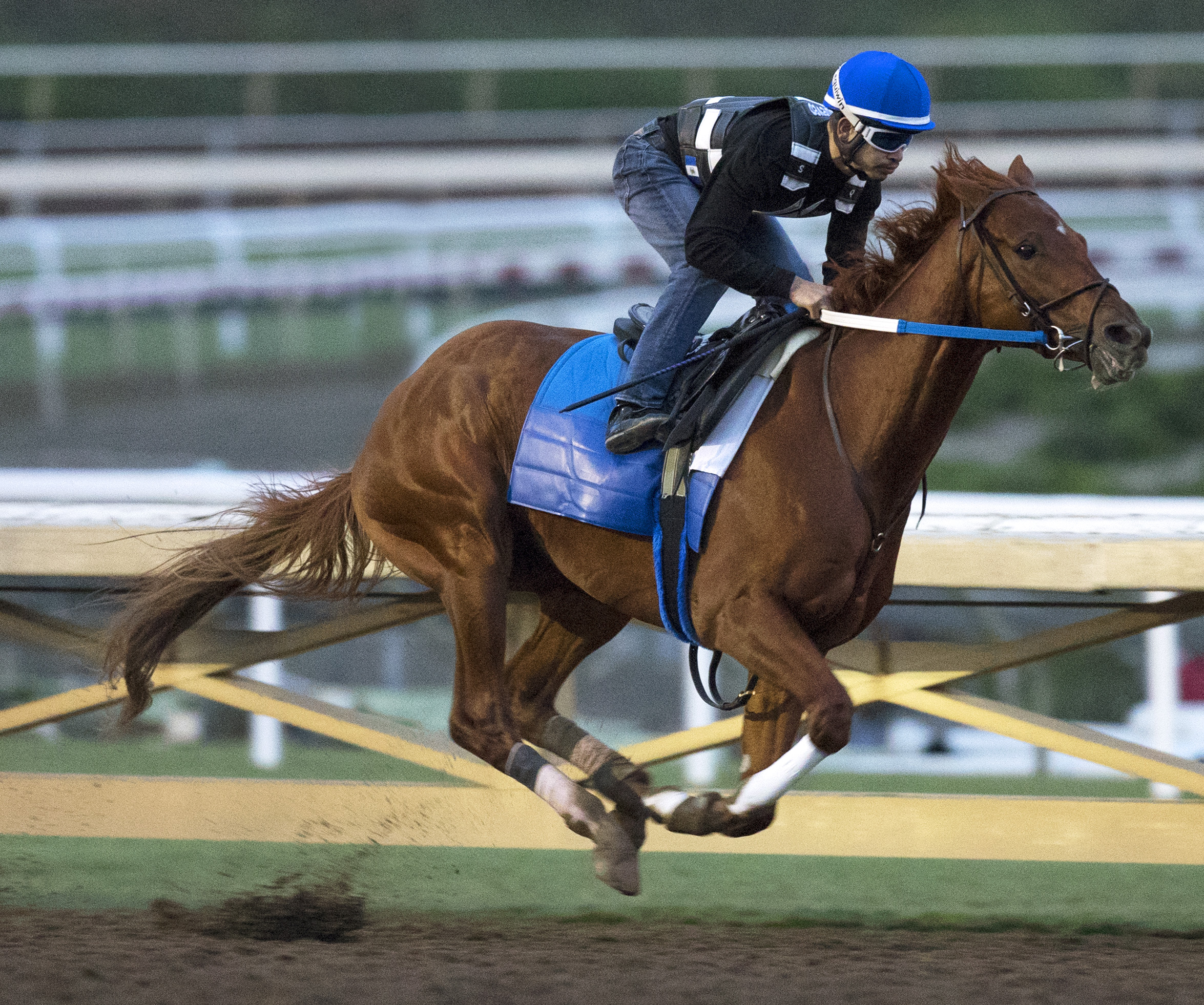 Gun Runner works